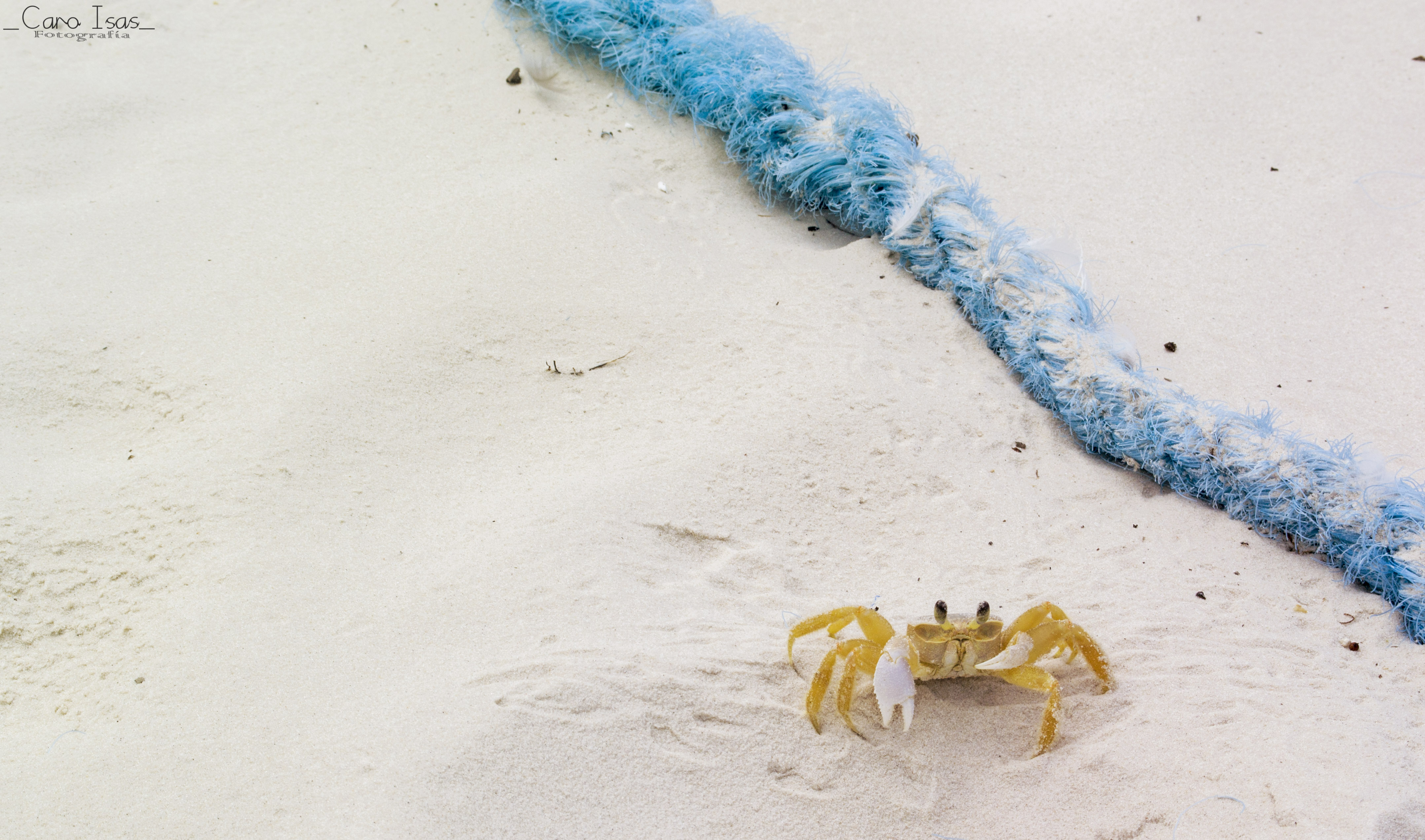 Obras Disponibles 10